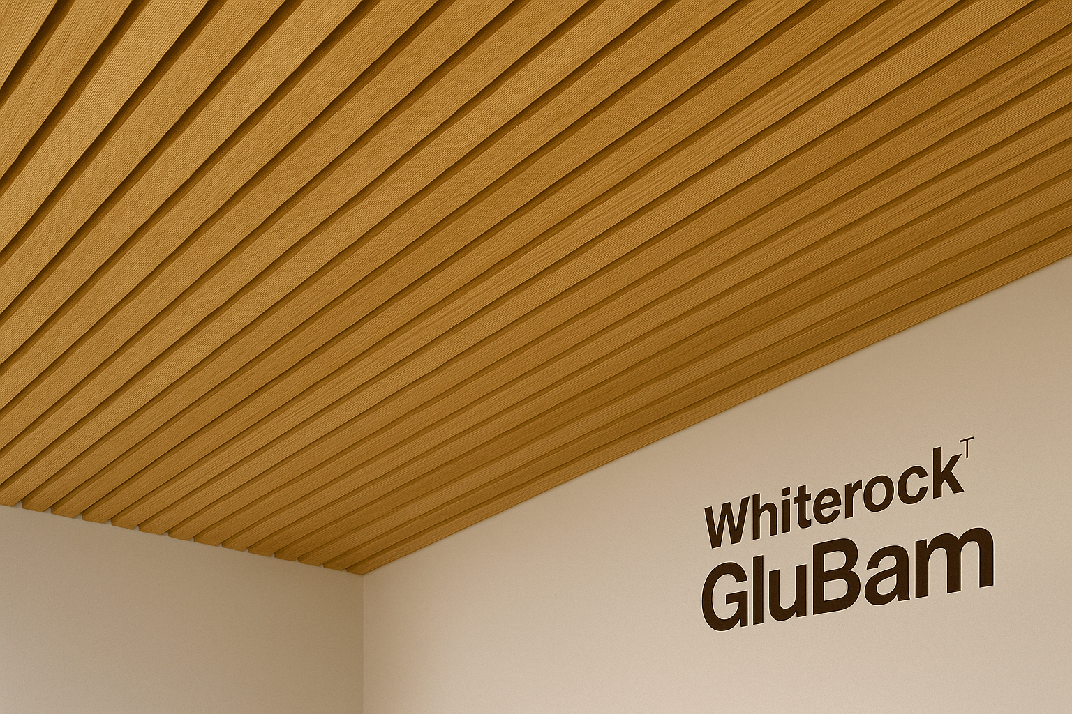 Ceiling Systems
